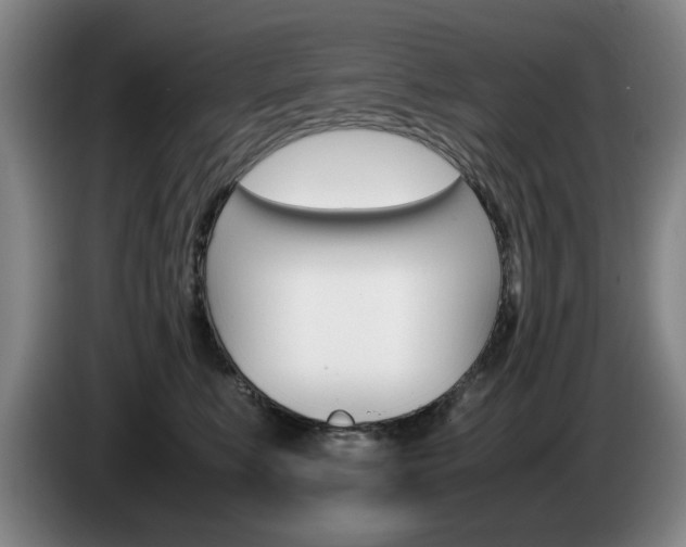 X0000085310519200703091057