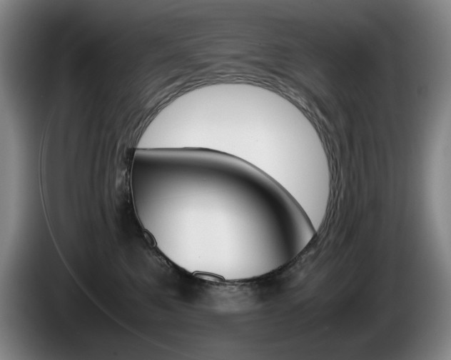 X0000085310521200703091057