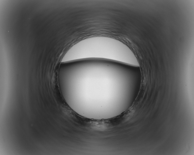 X0000085310524200703091057