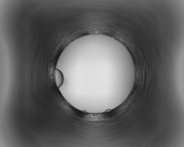 X0000085310526200703091057