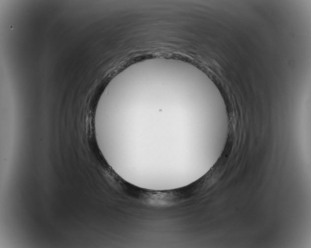 X0000085310527200703091057