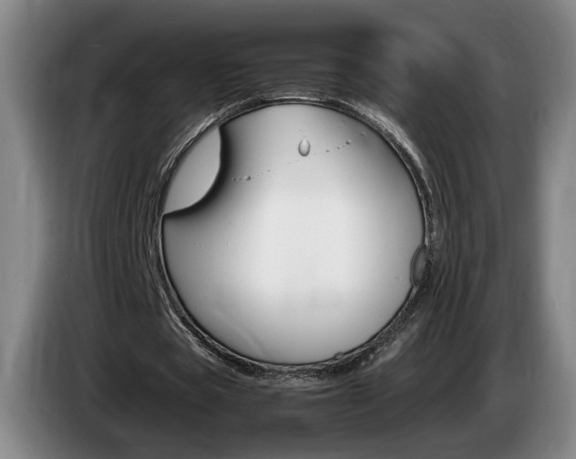 X0000085310529200703091056