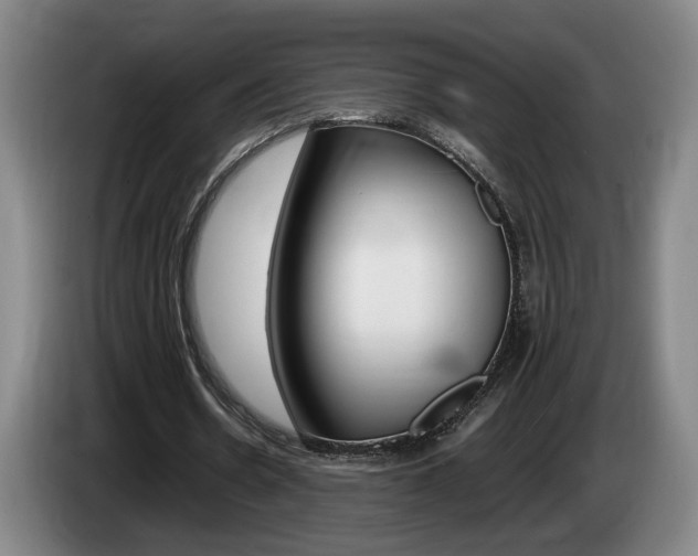 X0000085310530200703091056