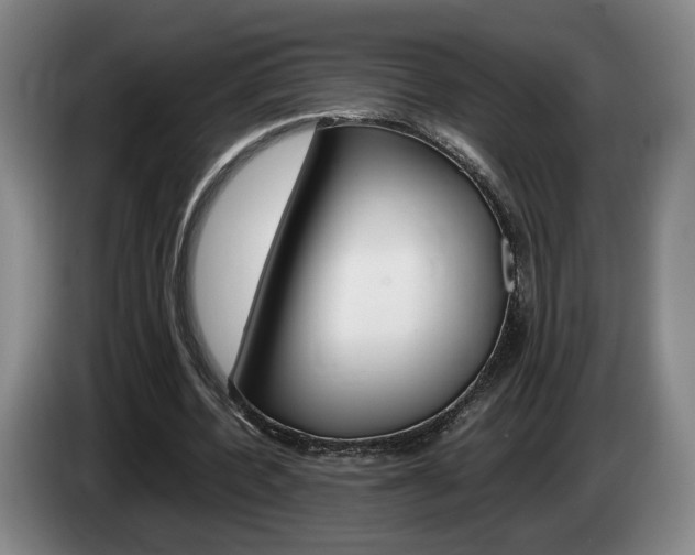 X0000085310532200703091056