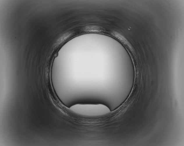 X0000085310533200703091056