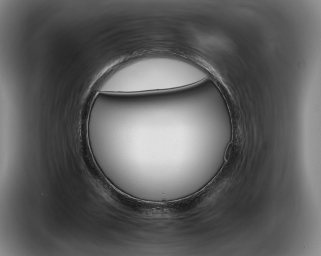 X0000085310535200703091056