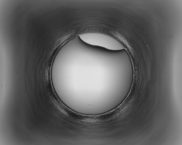 X0000085310537200703091056