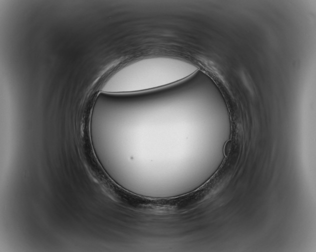 X0000085310539200703091056