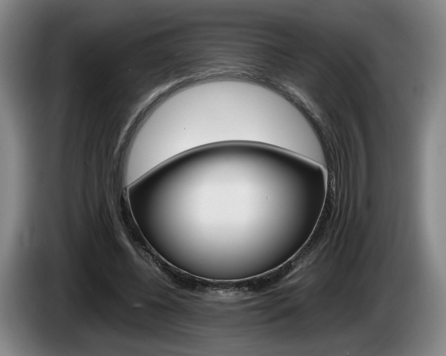X0000085310540200703091056