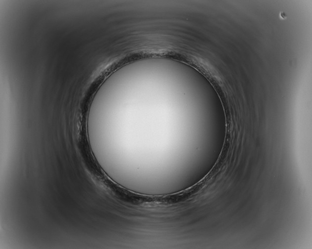 X0000085310544200703091056