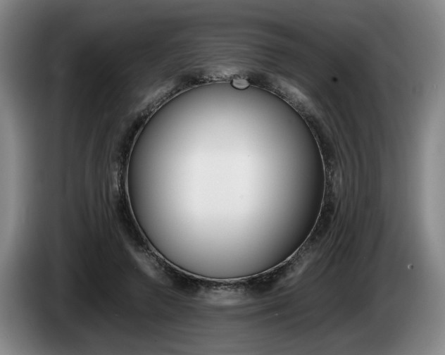 X0000085310546200703091056