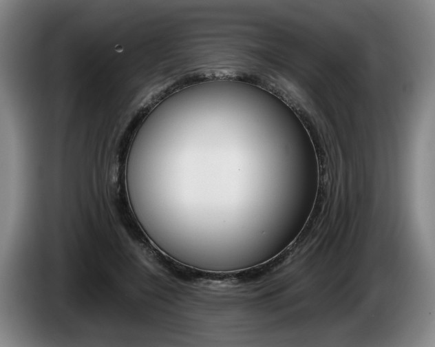 X0000085310548200703091056