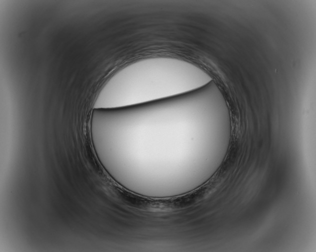 X0000085310549200703091056