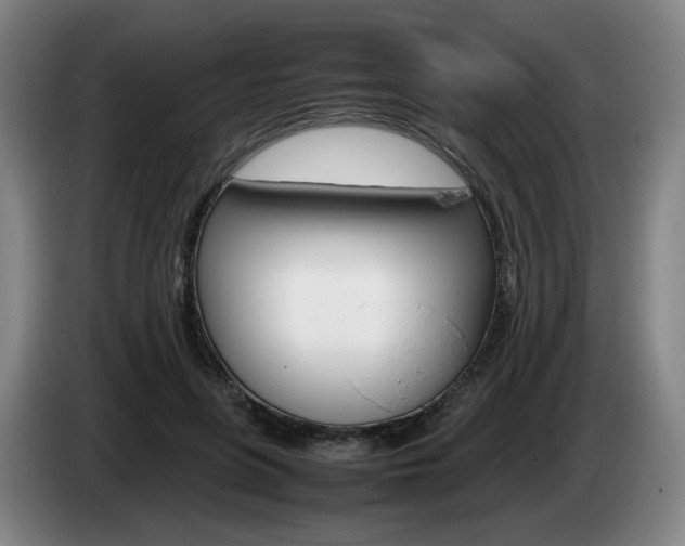 X0000085310551200703091056