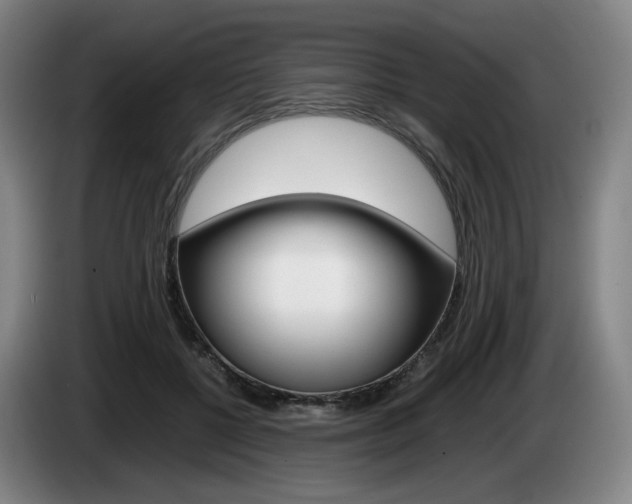 X0000085310552200703091056