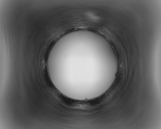 X0000085310555200703091056