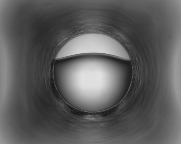 X0000085310556200703091056