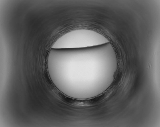X0000085310557200703091056