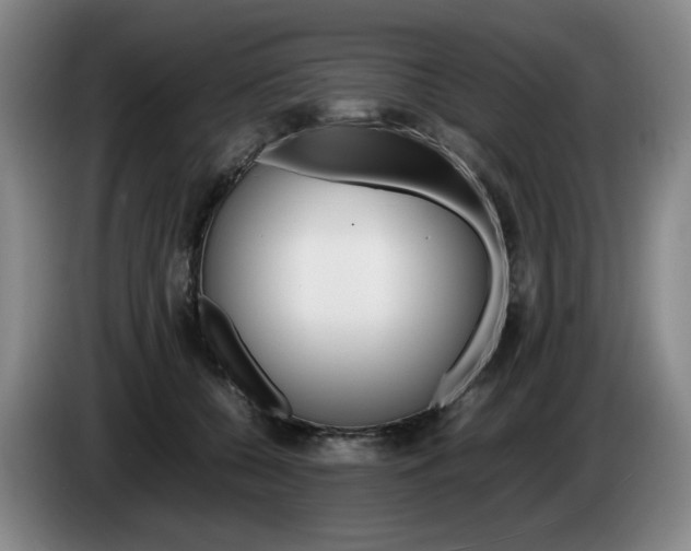 X0000085310560200703091056