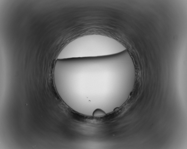 X0000085310561200703091056