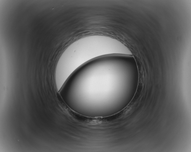X0000085310562200703091056