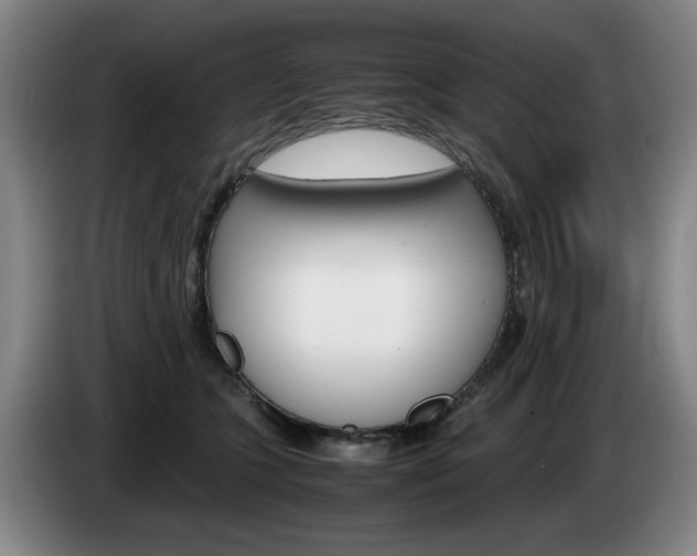 X0000085310563200703091056