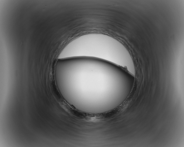 X0000085310564200703091056