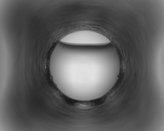 X0000085310567200703091056