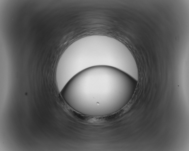 X0000085310568200703091056