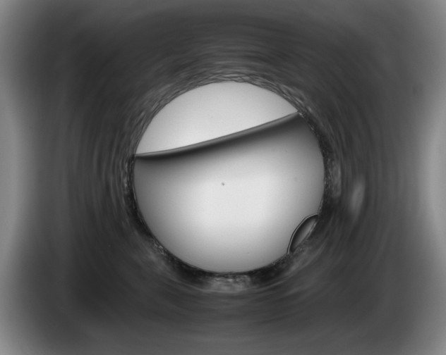X0000085310571200703091056