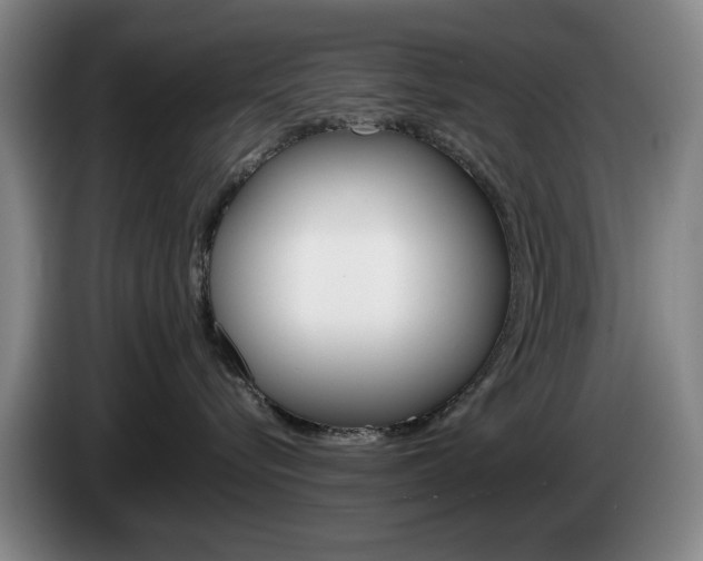 X0000085310576200703091056
