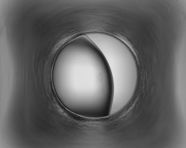 X0000085310577200703091056