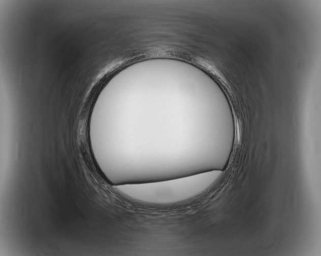 X0000085310579200703091056