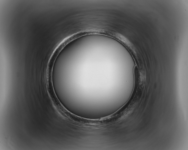 X0000085310580200703091056