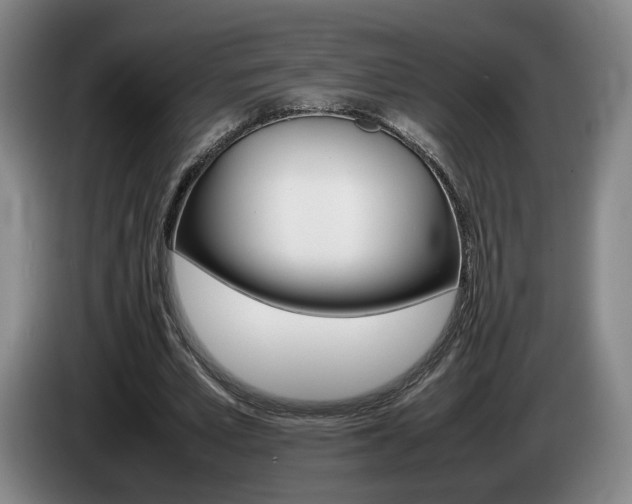 X0000085310581200703091056