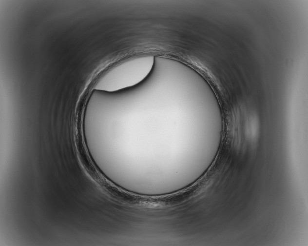 X0000085310582200703091056