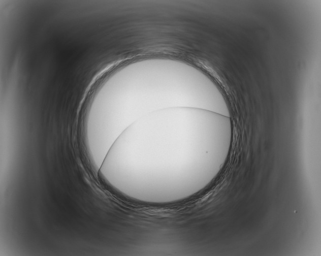 X0000085310583200703091056