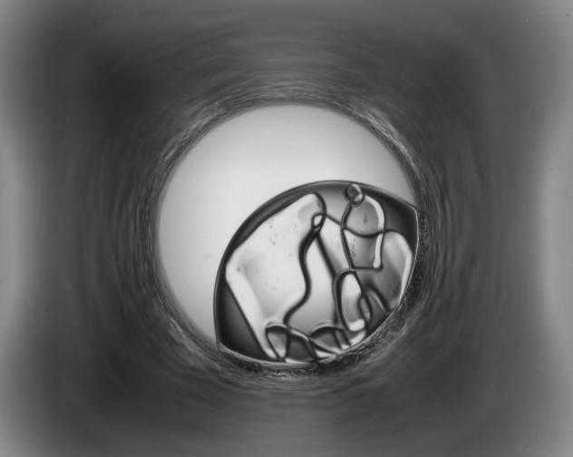 X0000085310585200703091056