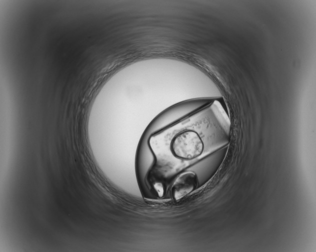 X0000085310589200703091056