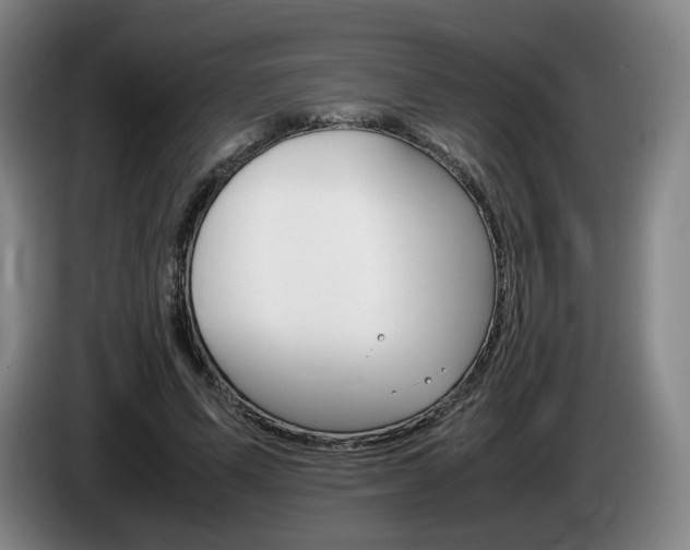 X0000085310591200703091056