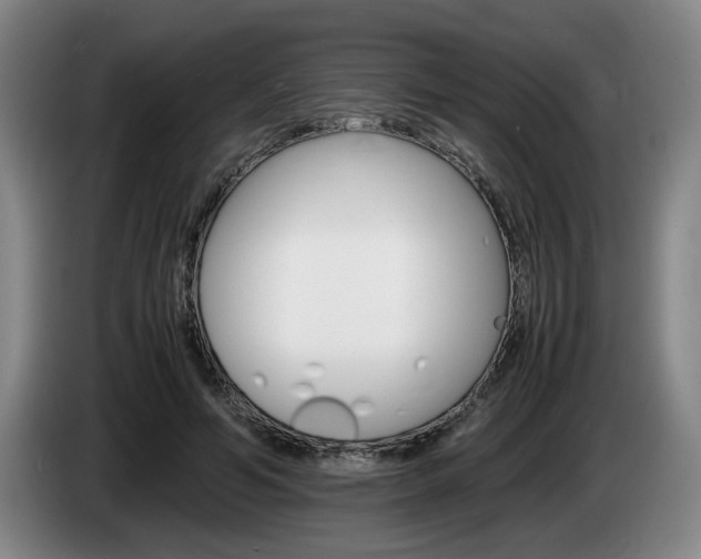 X0000085310594200703091056