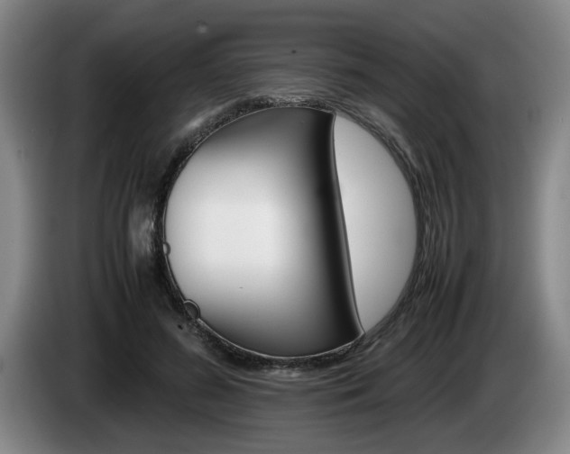 X0000085310596200703091056