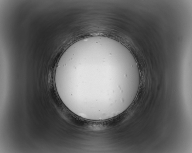 X0000085310598200703091056