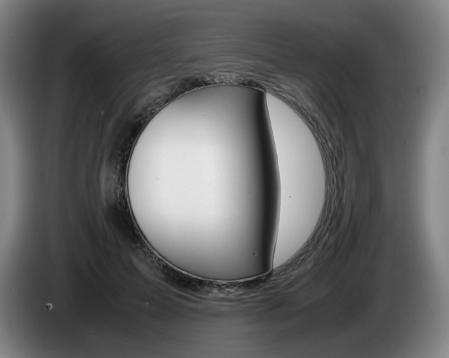 X0000085310599200703091056