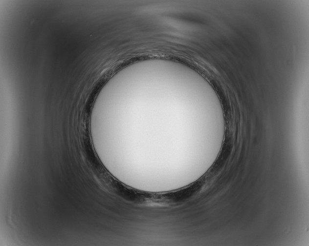 X0000085310603200703091055