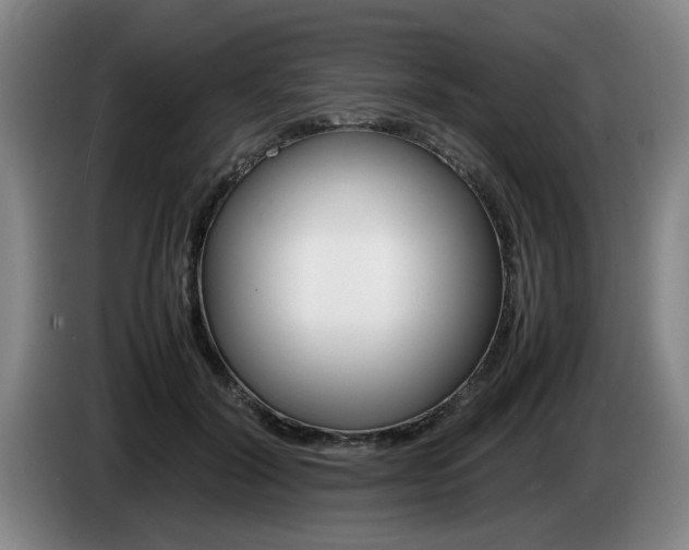 X0000085310604200703091055