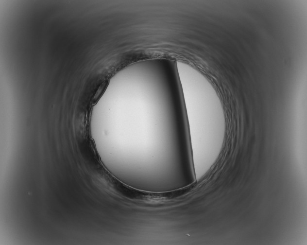 X0000085310605200703091055