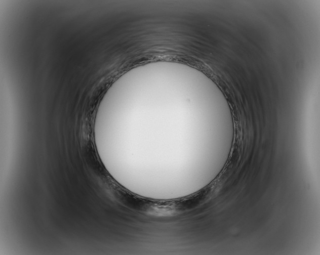 X0000085310606200703091055