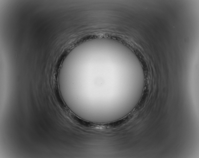 X0000085310611200703091055
