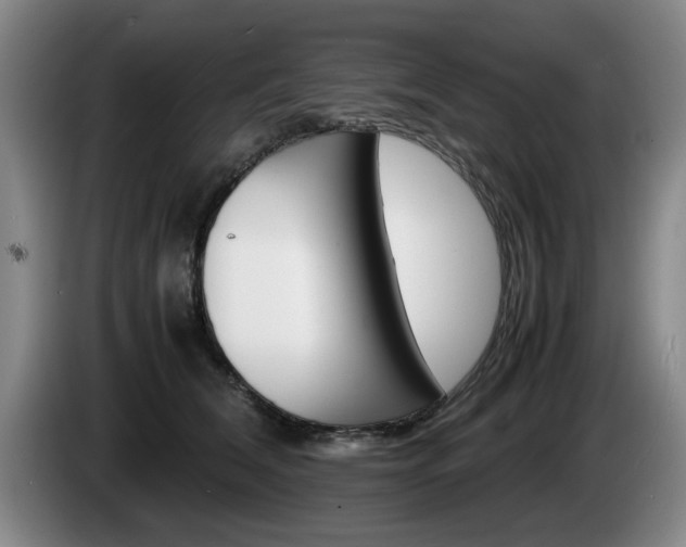 X0000085310612200703091055